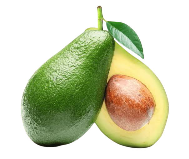 kenyan hass avocado exporters